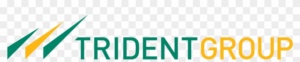 Trident Company group logo