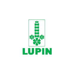 lupin